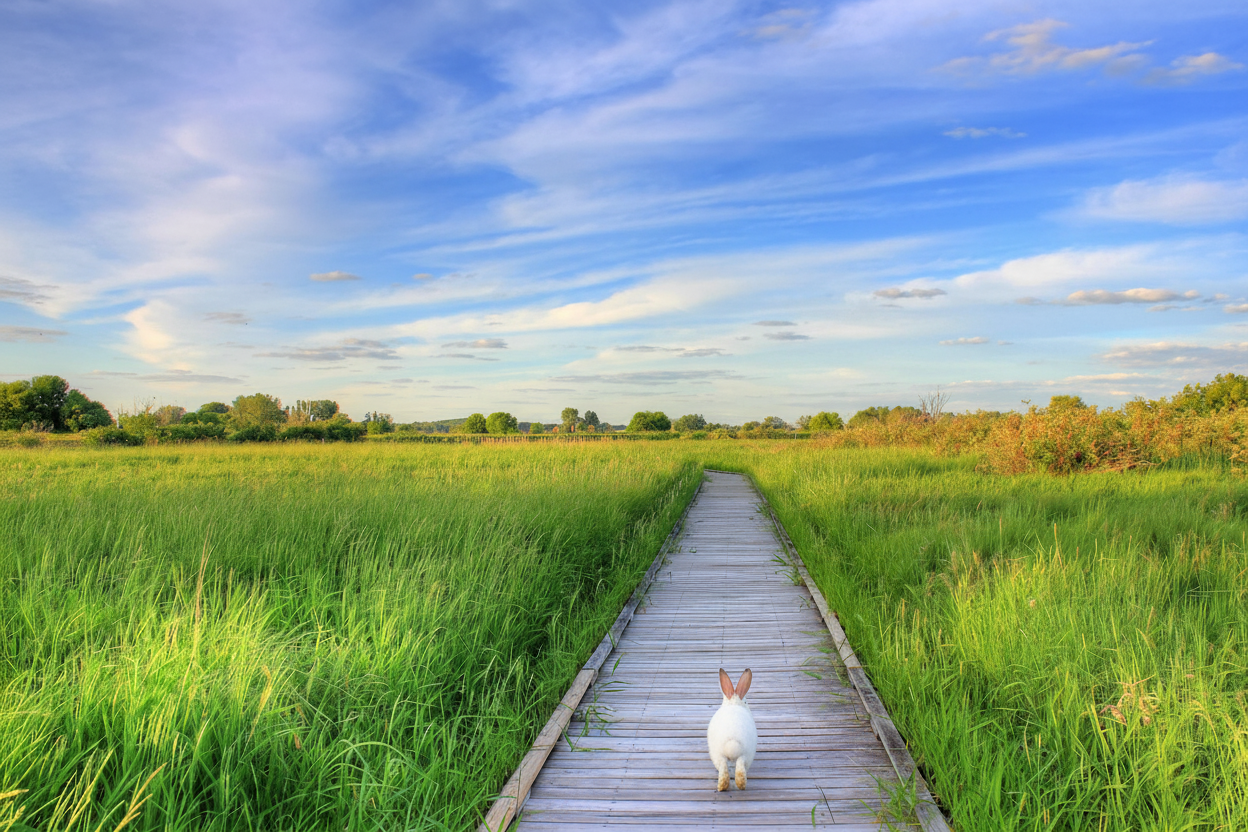 Understanding Temu Dropshipping on Shopify: Core Concepts