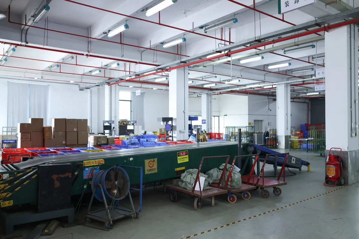 Outbound loading area with conveyor and parcel carts at the ASG warehouse